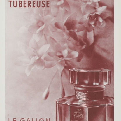 Le Galion Tubereuse Eau de Parfum Natural Spray 100ml By Le Galion - MeMeMe Gifts